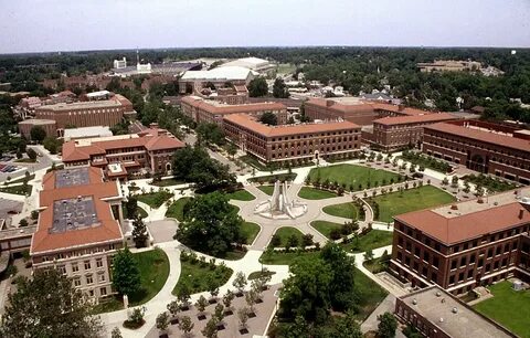 Esil university