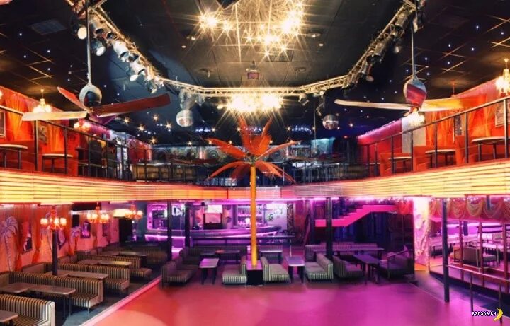 Клуб вирус донецк. Ред лайн ночной клуб донецк. Лица донецк ночной клуб. Ночной клуб вирус донецк. Диез клуб ночной.