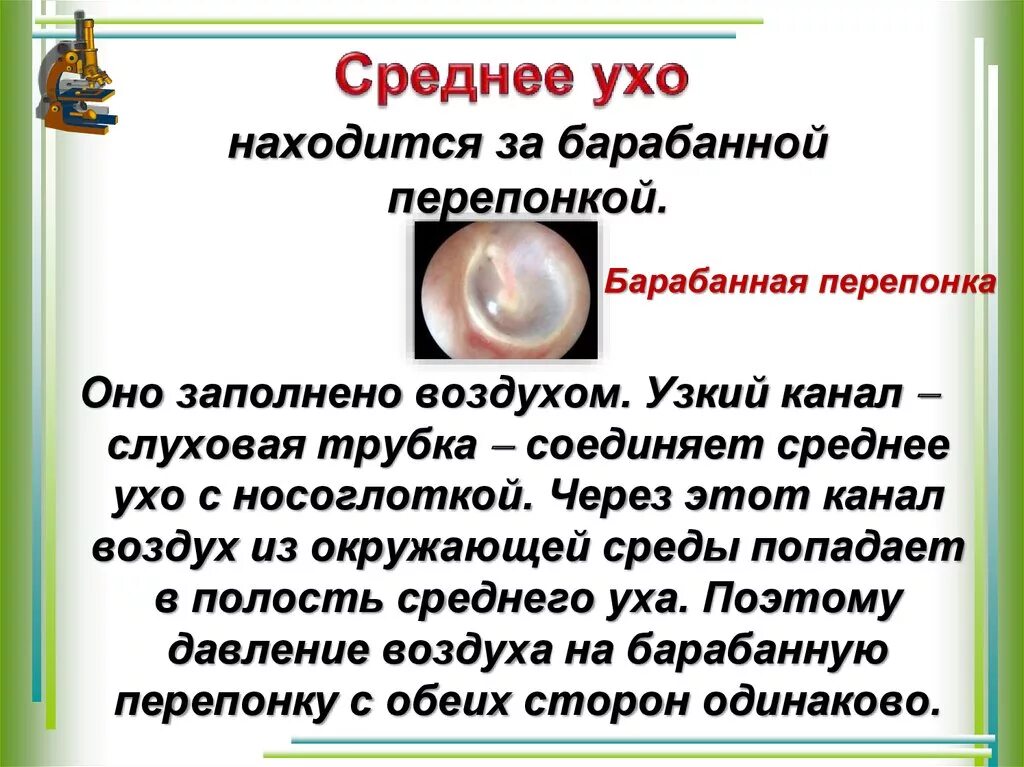 Давление на барабанную перепонку равное атмосферному. Заполнено воздухом среднее ухо. Полость среднего уха заполнена воздухом. Полость заполненная воздухом в ухе