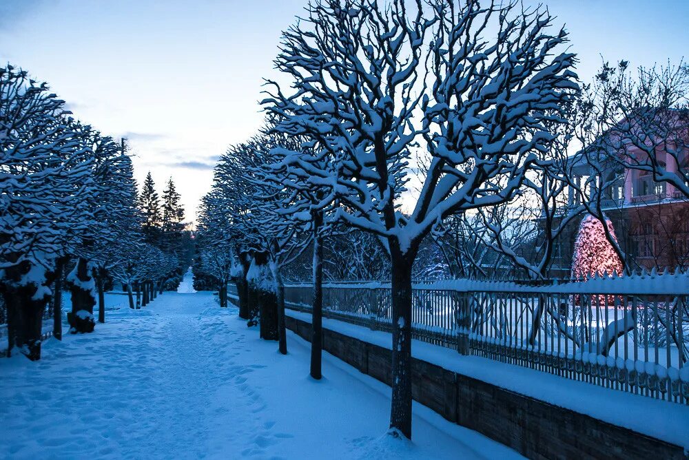 Екатеринбург парки зимой. Парк зимой. Пушкинский парк зимой. Зима лето парк. Гинкго парк зимой.