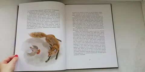 Томпсон рассказы о животных читательский дневник