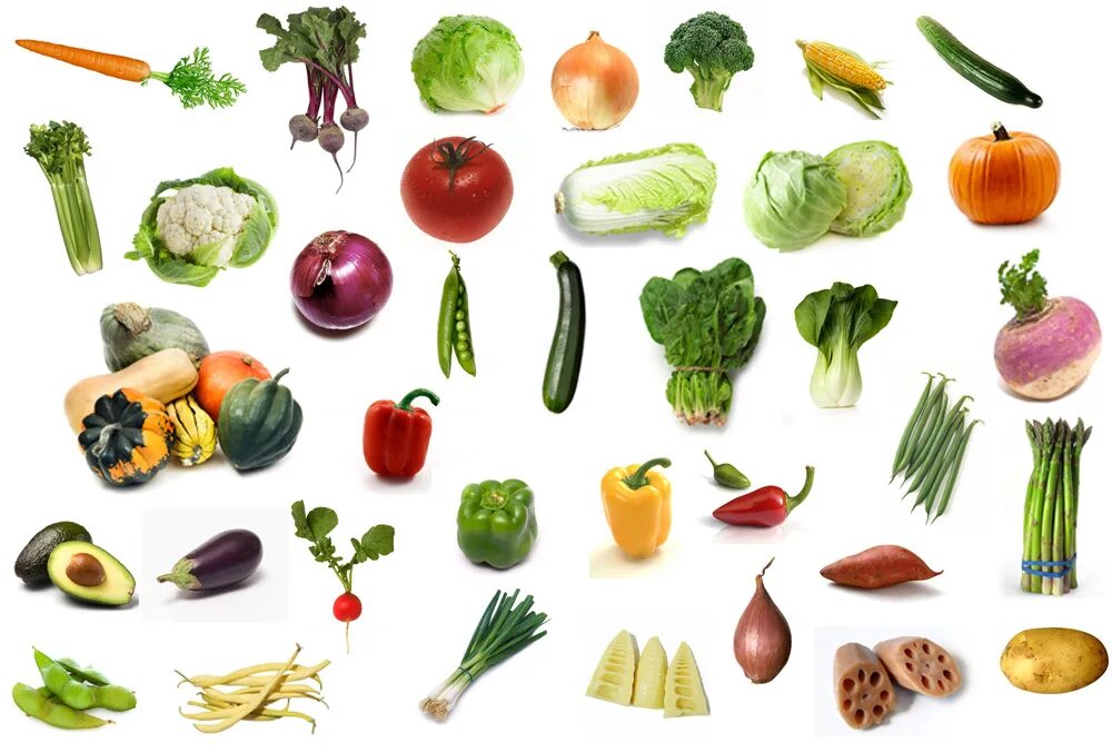 Овощи для ребенка 2 года. Овощи для детей. Цветные овощи. Маленькие овощи. Овощи для печати детям.