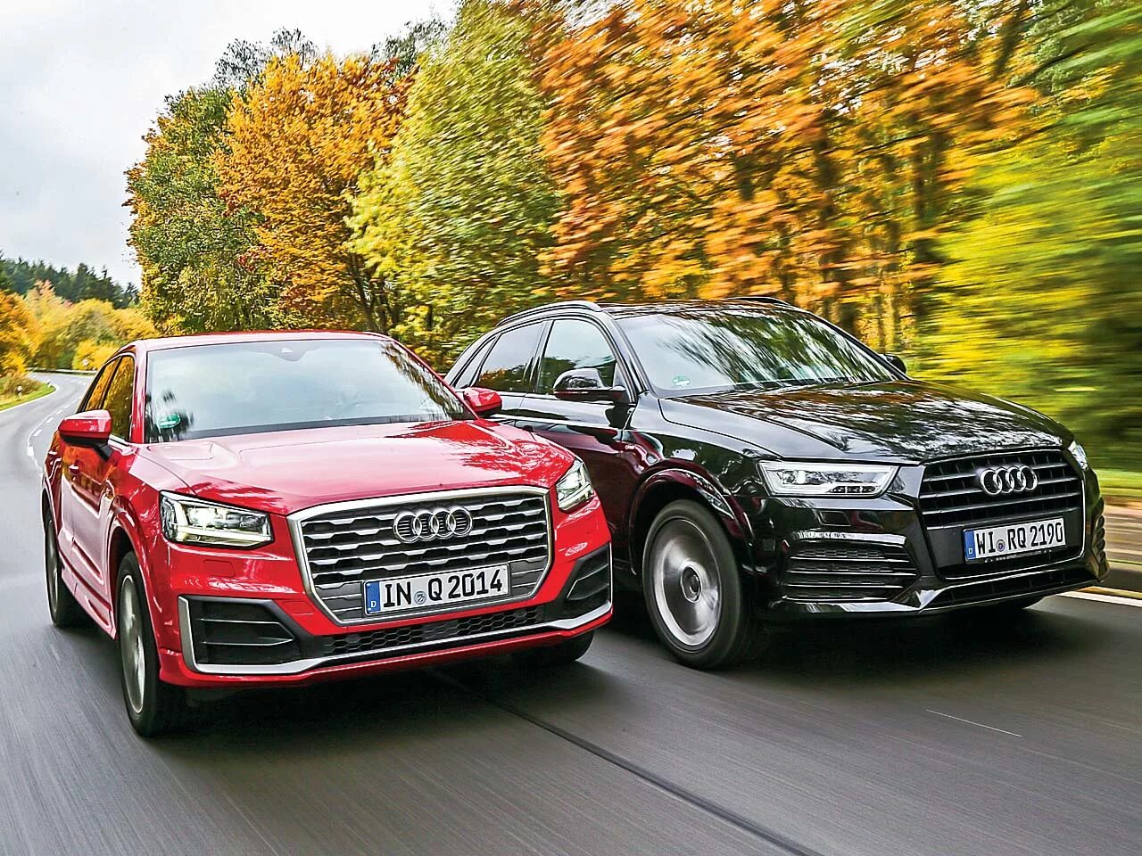 A1 2 q 3