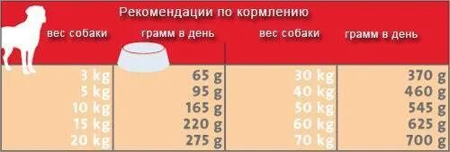 Сколько творога давать щенку. Количество корма для щенка. Сколько корма давать собаке. Норма корма для собак. Граммы корма для собаки.