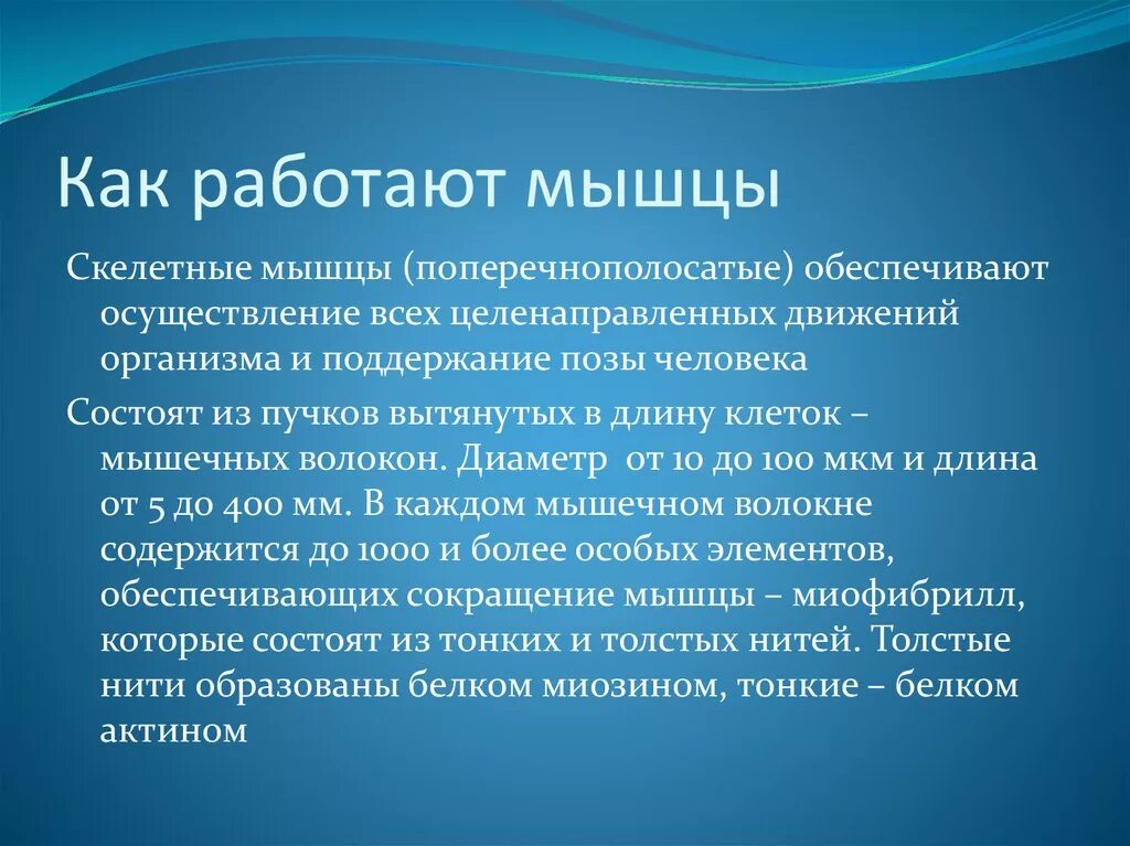 Форматы уроков