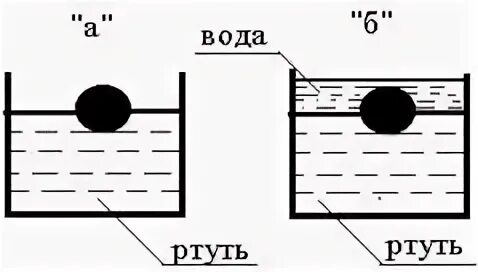 Плотность ртути в 13 6 раз больше