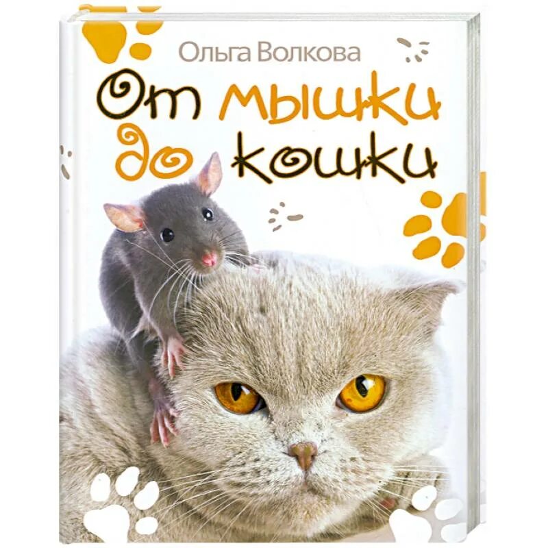Читать книгу кошки мышки. От мышки до кошки ольга волкова. книга от мышки до кошки. книга о.волкова от мышки до кошки. книжка ольги волковой от мышки до кошки.