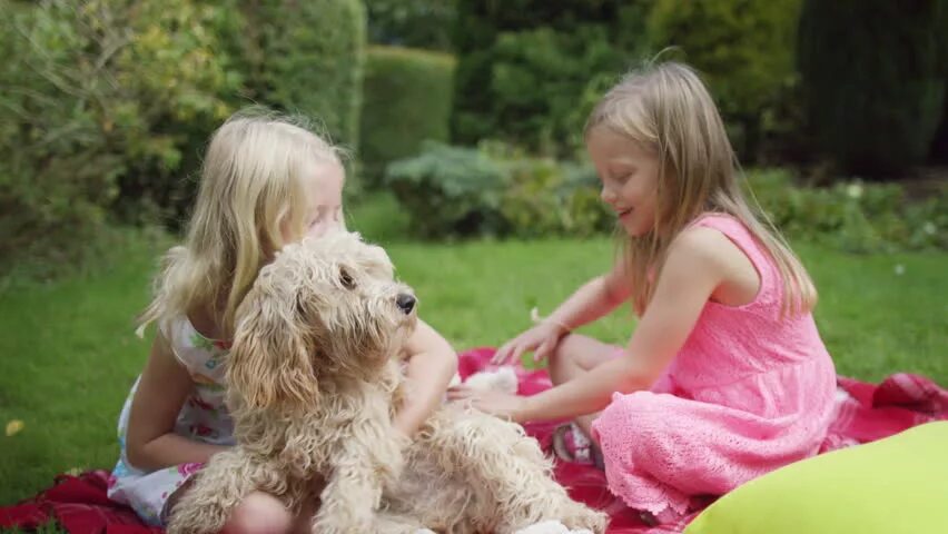 Dog owner. Girls playing garden. Собака в саду. Dog in the garden. The dog play in the garden.