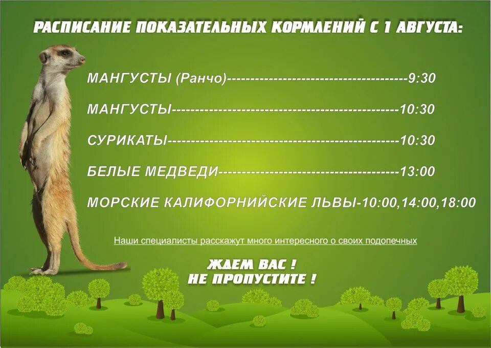 Билет в сафари парк. Билеты в сафари парк Краснодар. Визитка сафари парка. Сафари-парк Краснодар 2022. Звери краснодар билеты