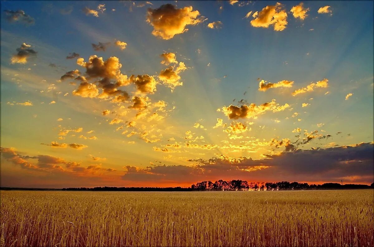 Плывут облака с золотыми краями. Пейзаж небо. Небо рассвет. Закат в поле. Осеннее небо.