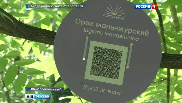 Qr код в садах. плакат с qr кодом. Qr код в садах. Qr код. Qr код в садах.