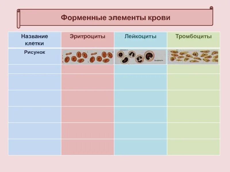 Активные форменные элементы. Форменные элементы крови таблица лейкоциты. таблица клетки крови эритроциты лейкоциты тромбоциты. форменные элементы клетки крови таблица. кровь: состав. строение и функции форменных элементов.