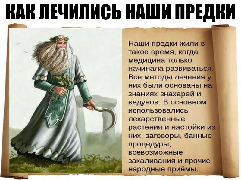 Наши предки. Как лечились предки. Как лечились на Руси наши предки. Так лечились наши предки. Знахарь рассказы