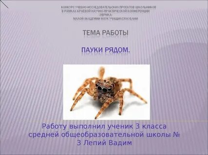 Тема паукообразные