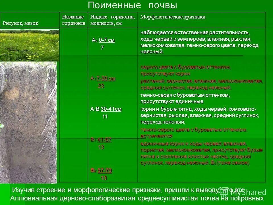 морфологические признаки почвенного