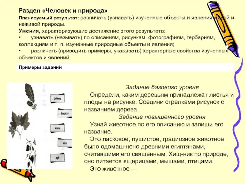 Описание рисунка. Описание рисунка пример. Описание рисунка на конкурс пример. Рисунок арпвимсане.