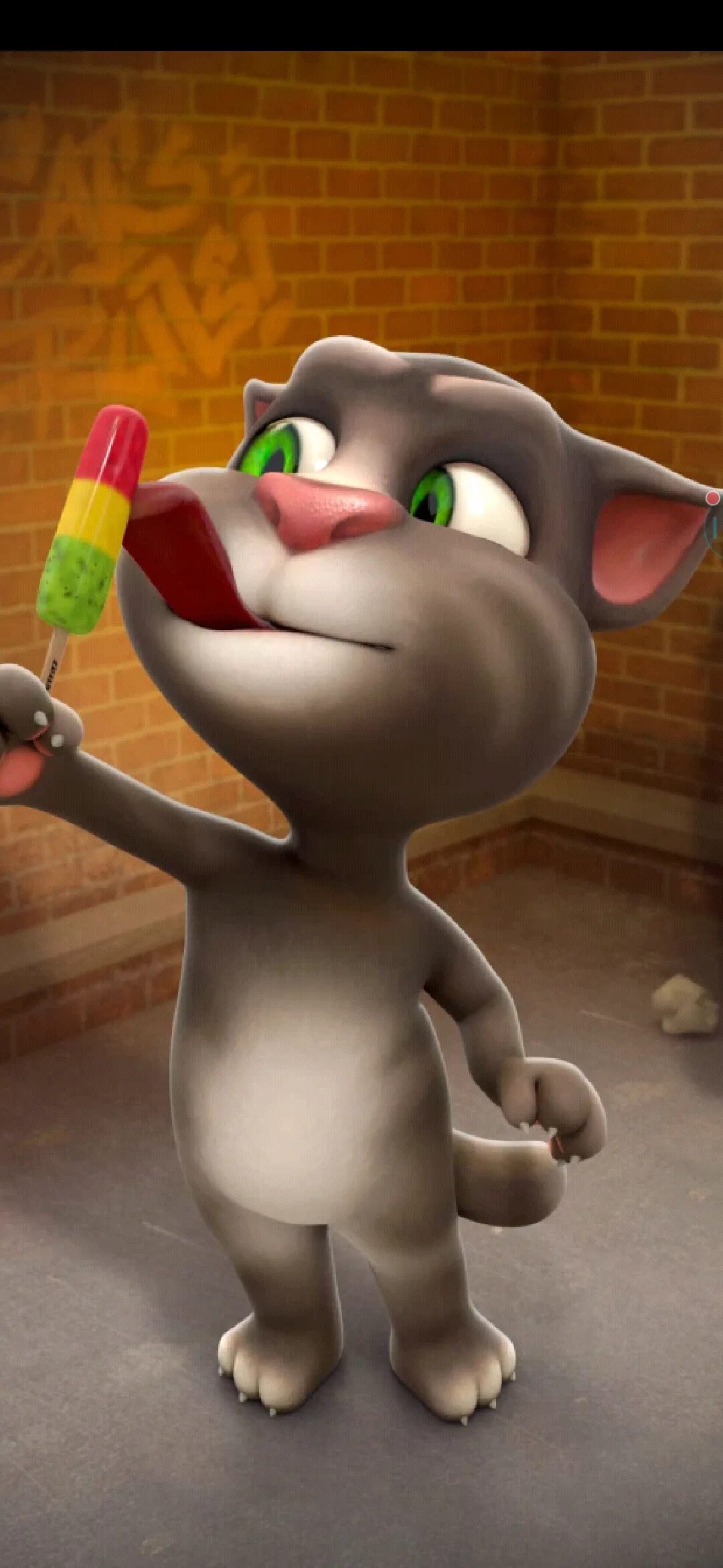 Tom cat 3. Talking Tom Cat. Talking Tom 2010. Игра talking Tom Cat ( 3. Talking Tom Cat 2010.