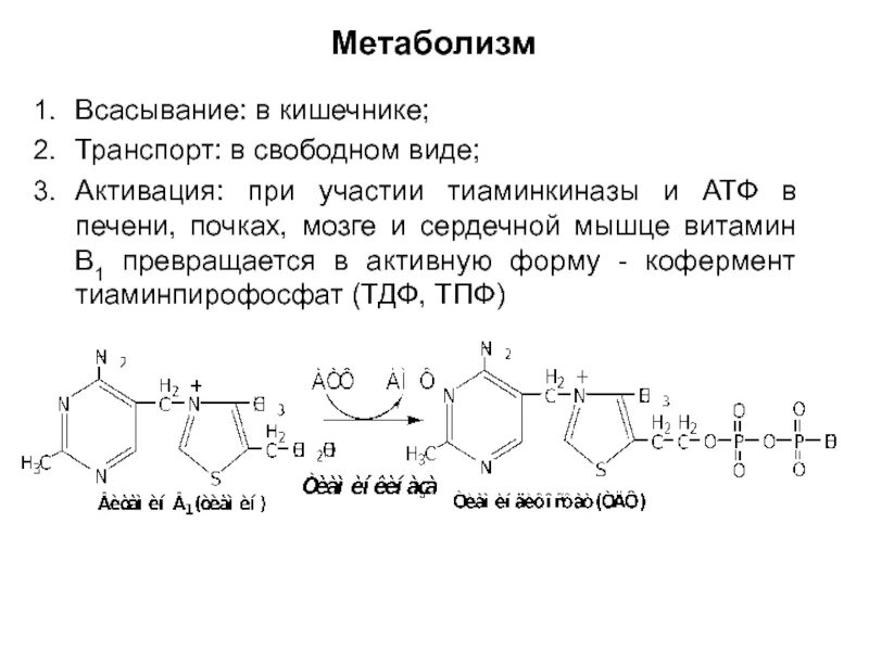 ТДФ формула биохимия. Тиамин + АТФ. Витамин b1 биохимия. Витамин в1 реакции биохимия.