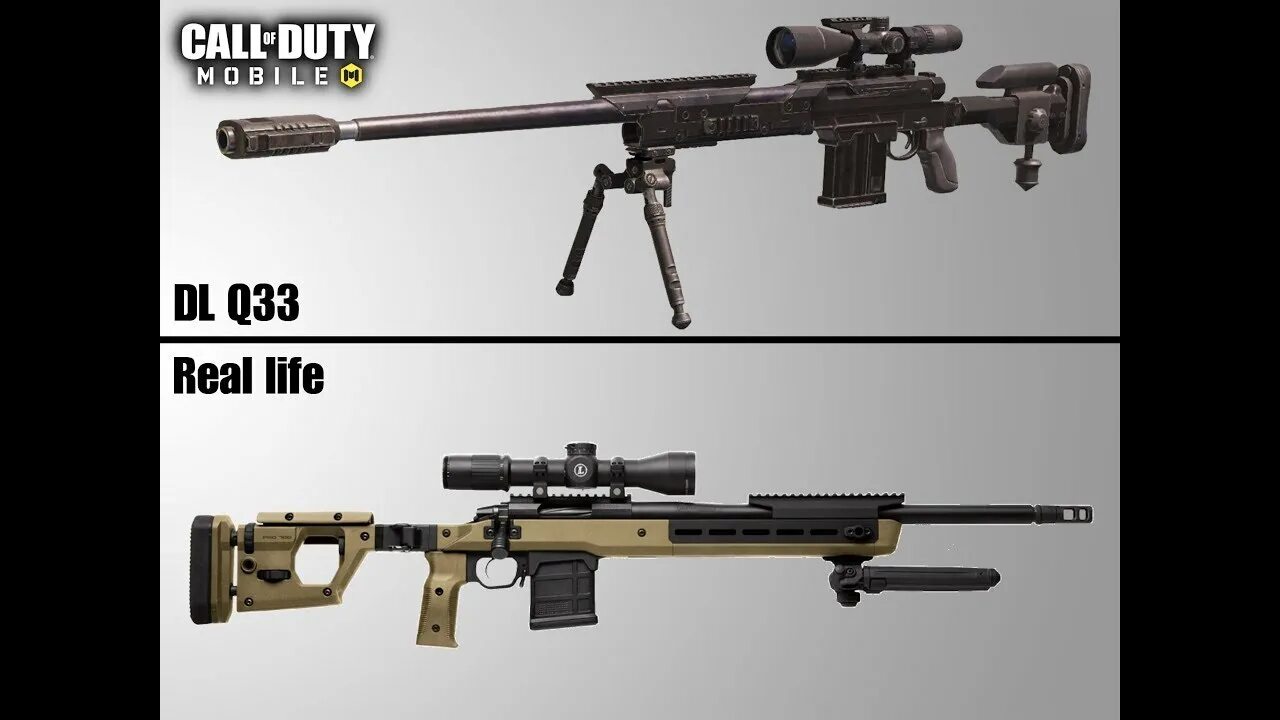 Dl q33. Винтовка dl q33. снайперская винтовка dl q. call of duty dl-q33.