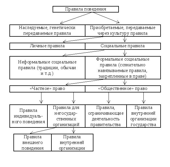 Военно экономический институты. Классификация экономических институтов. Классификация видов правил по в Ванбергу. Классификация канон. Классификация фирмы в институционализме.