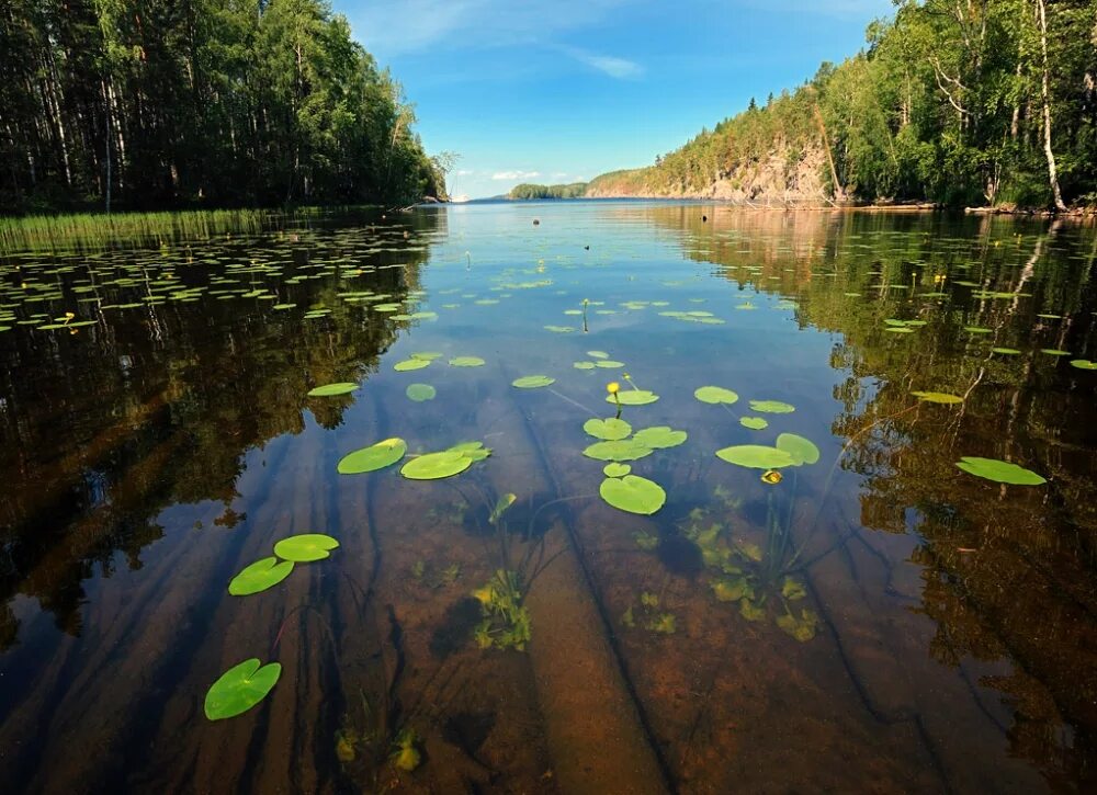 озеро увильды. сегодняшний день в озере. сегодняшний день в озере. вода река. река волга пляж.