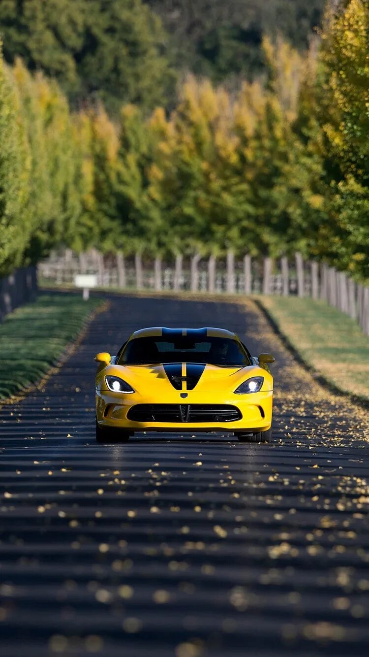 Фото машин вертикально. Dodge Viper Pennzoil. Машина желтая. Спорткары. Яркие машины.