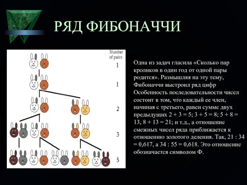 Система фибоначчи. Числа фибоначчи таблица. что такое числа фибоначчи кратко. числа трибоначчи. ряд фибоначчи числа.