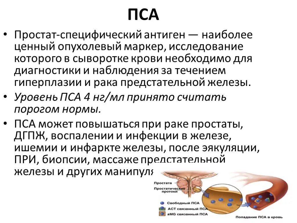 Онкомаркер предстательной железы. Специфический антиген предстательной железы. ан крови на пса. исследование простат специфический антиген в крови. пса анализ.