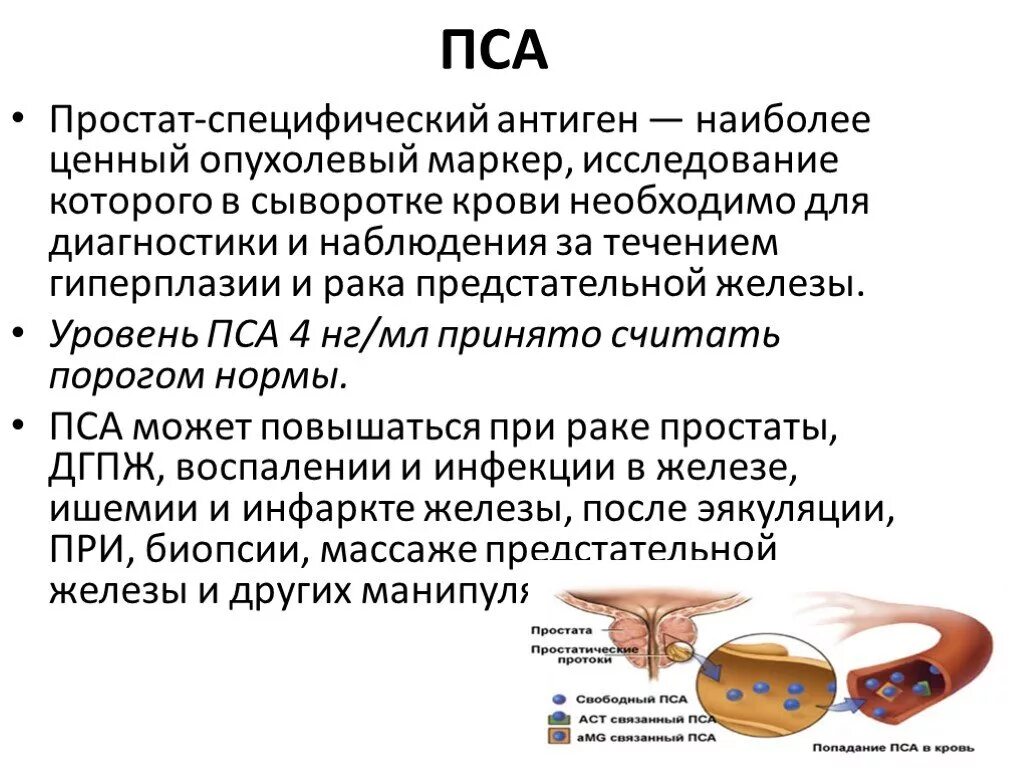 Как сдать пса мужчине подготовка. Специфический антиген предстательной железы. АН крови на пса. Исследование простат специфический антиген в крови. Пса анализ.