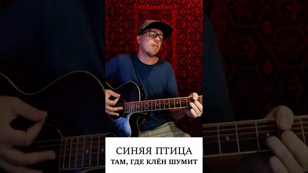 Песня синяя птица там где клен шумит. Песня клён синяя птица. Там где клён шумит синяя птица Дроздов.