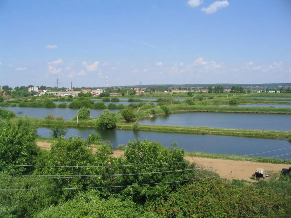 городское поселение серебряные пруды. серебряный пруд серебряные пруды. серебряные пруды московская область храм. храм в серебряных прудах. поселок серебряные пруды.