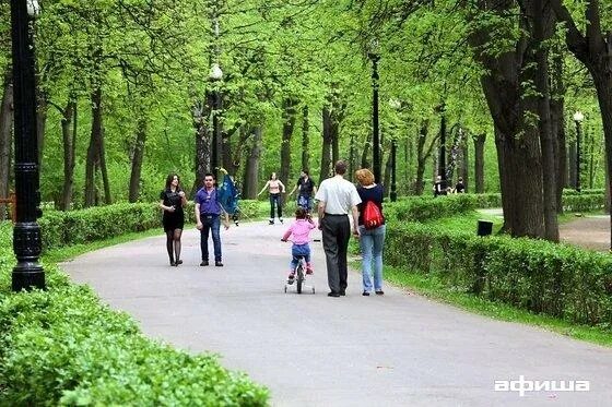 Измайловский лесопарк администрация. Лысая гора Измайловский парк. Парк Измайлово сцена. Новая жизнь Измайловский парк. Измайловский парк московский просп 2 фото