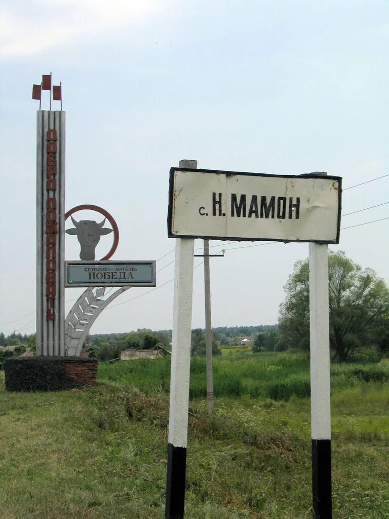 Погода в мамоне верхнемамонского. Село Нижний Мамон Воронежской области. Село Нижний Мамон Верхнемамонского района Воронежской области. Село верхний Мамон Воронежской области. Нижний Мамон Воронеж.