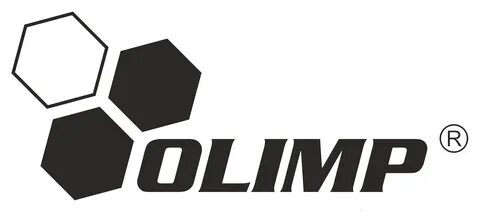 Олимп информатика