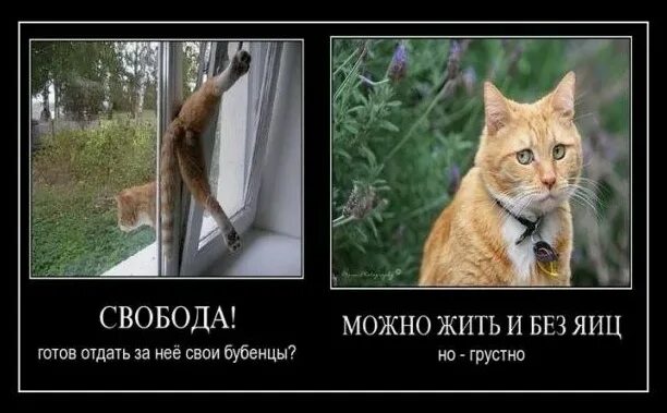 Живу Годами Без Секса