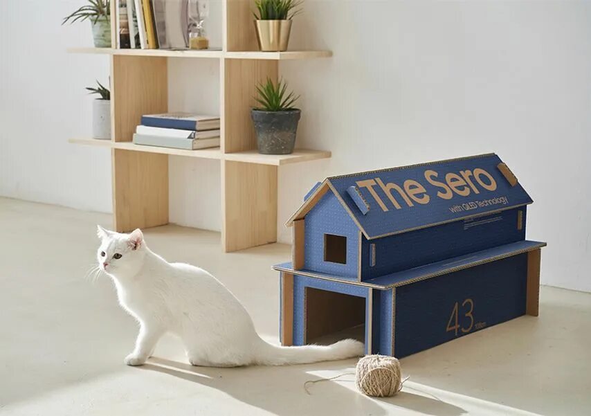 Is there a cat in the house