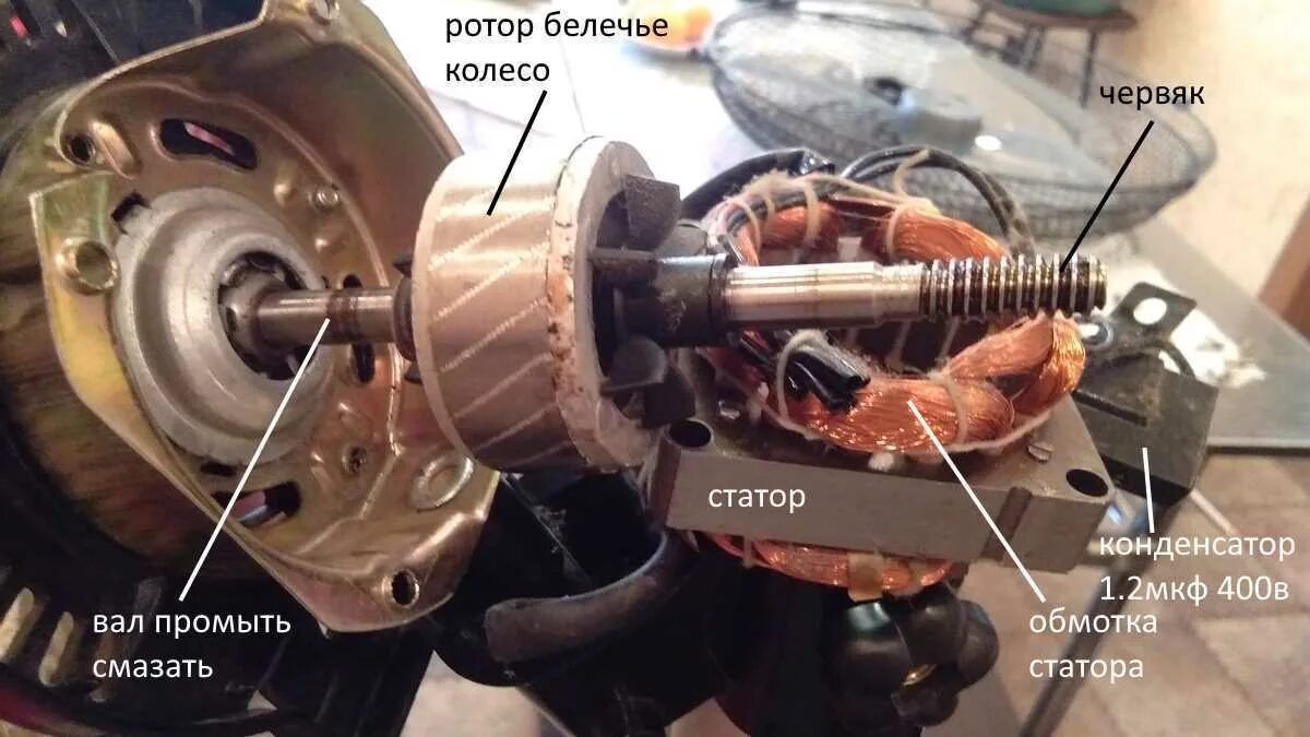 Почему перестал работать вентилятор. Электродвигатель шумит но не крутится. вентилятор гудит но не крутится. разборка двигателя с напольного вентилятора. электродвигатель гудит и не крутится.