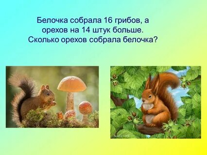 Бельчонок ответы