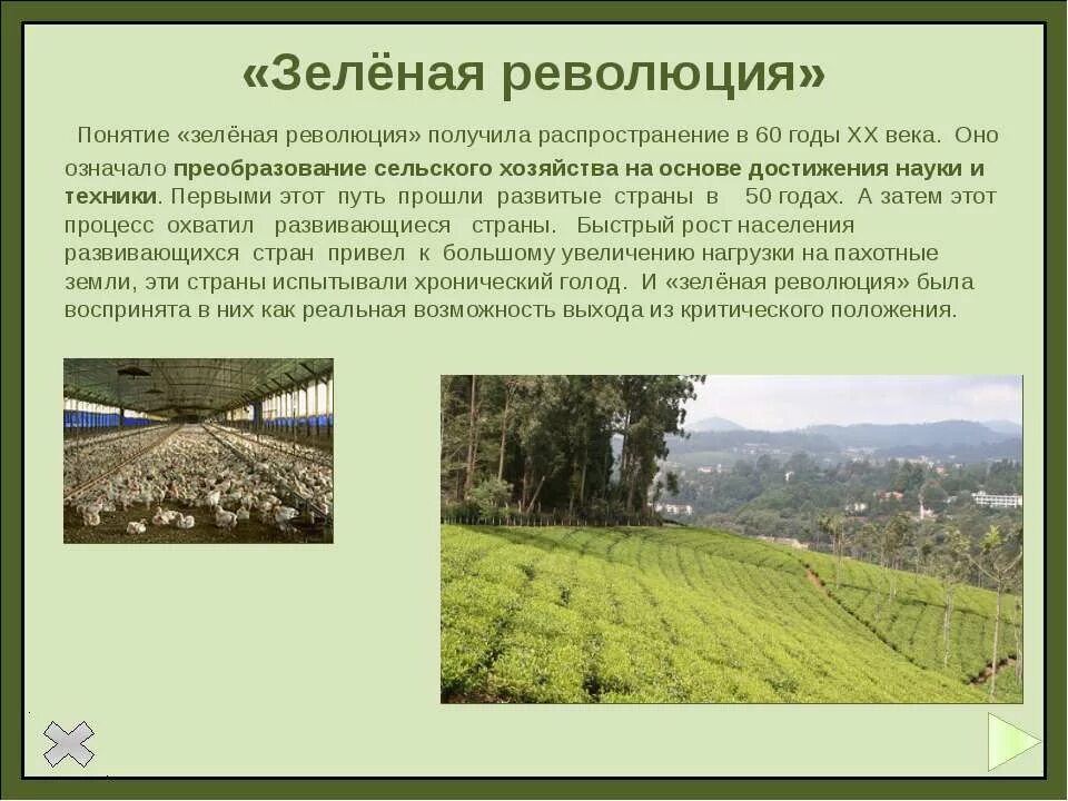 Компоненты зеленой революции. Компоненты зеленой революции