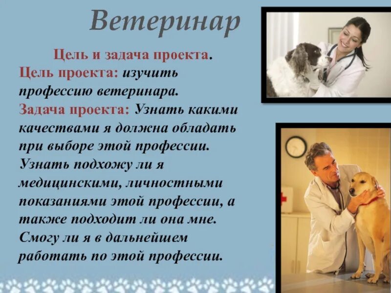 Один день в профессии ветеринар. Профессия ветеринар. Профессия ветеринар цели и задачи. Ветеринар задача профессии. Проект профессия ветеринар.