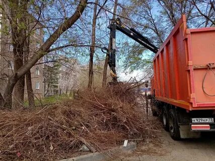 Вывоз деревьев с участка московская область