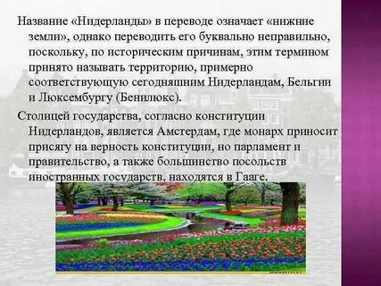 Почему нидерланды высокие