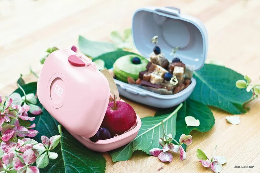 Monbento ланч. Monbento ланч-бокс gram. Монбенто ланч бокс детский. Ланч-бокс MB gram Litchi. Ланч-бокс MB gram Apple.