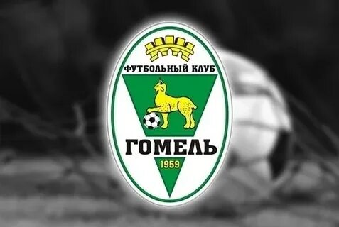 Футбольный клуб гомель