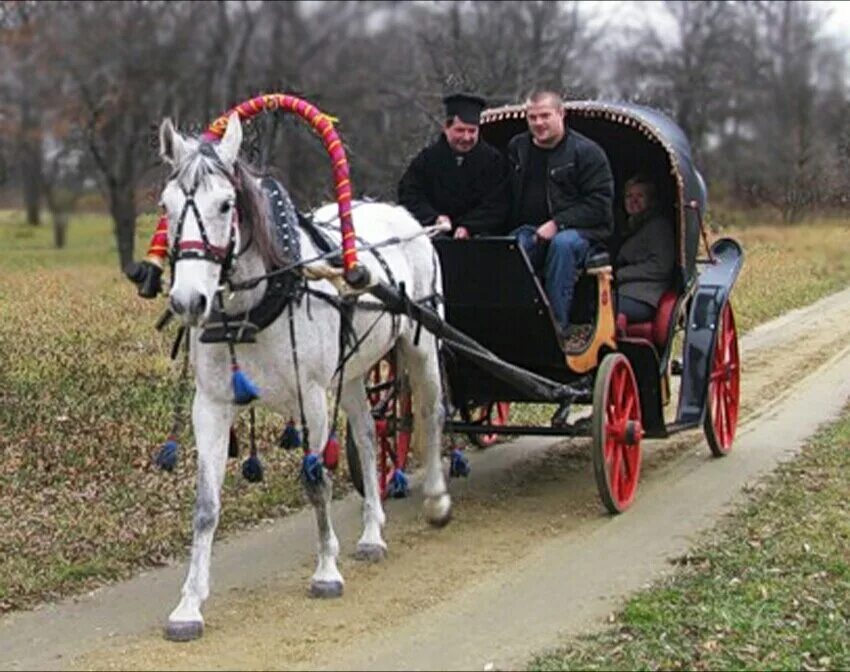 Ямщик 19 век. Облучок для телеги. Ямщик. Red dead redemption 2 дилижанс. Повозка с лошадью.