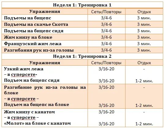 Программа тренировок два раза. Программа тренировок два раза