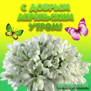 Доброе утро с первым апрельским днем
