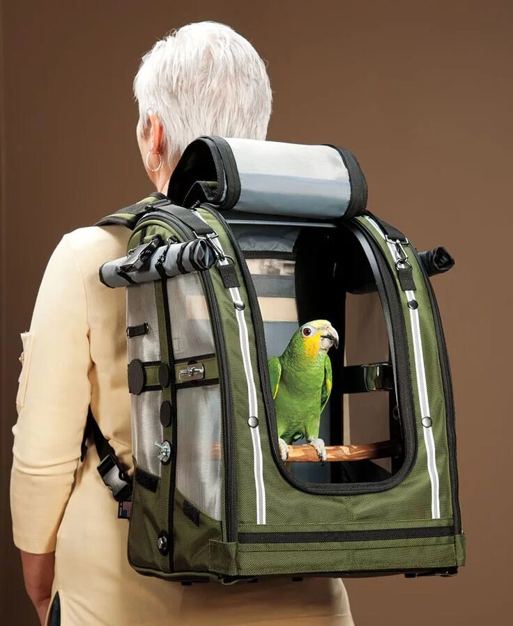 O bird. Рюкзак для попугая. Bird Carrier. Feed a Parrot. Бабуля с рюкзаком попугаям.