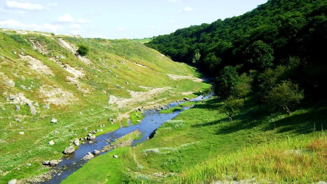 Плай молдова. Кодры Молдавия. Карпаты Молдавия. Молдавия Ягорлык. Горы Молдавии Кодры.