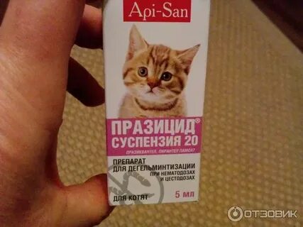 Котенку дали таблетку от глистов